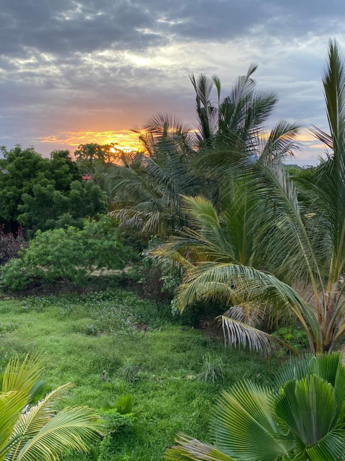 Darwesh Nyumba Lodge Nungwi Exterior foto